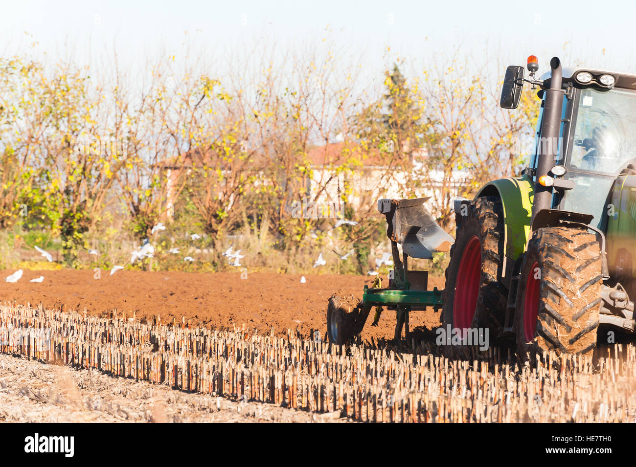 Trattore con aratro. L'aratura di un campo di mais in una giornata di sole. Foto Stock