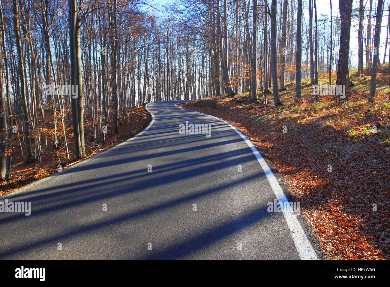 Strada di Montagna della curvatura attraverso la foresta Foto Stock