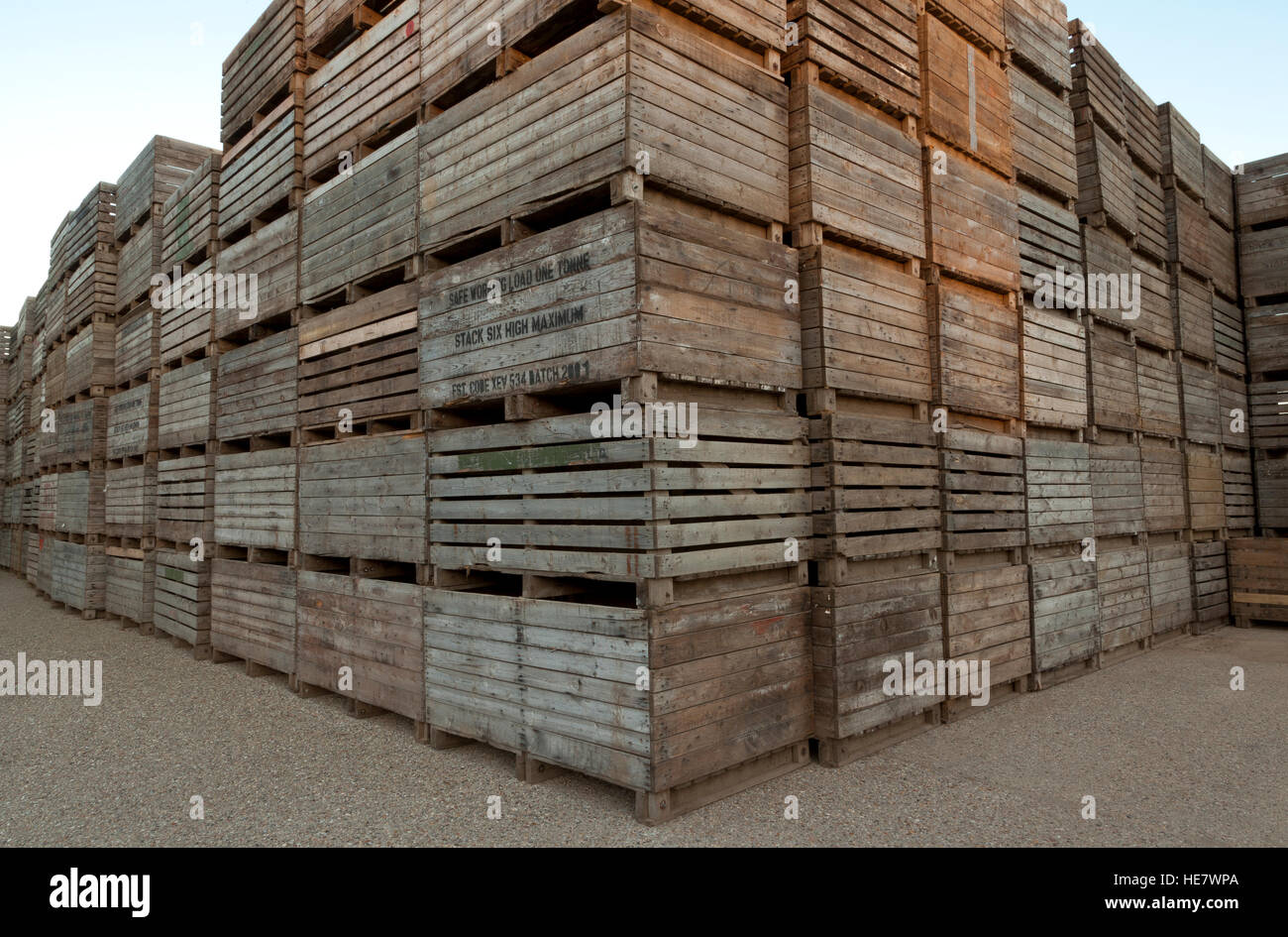 In legno di patate agricoli scatole di archiviazione Foto Stock