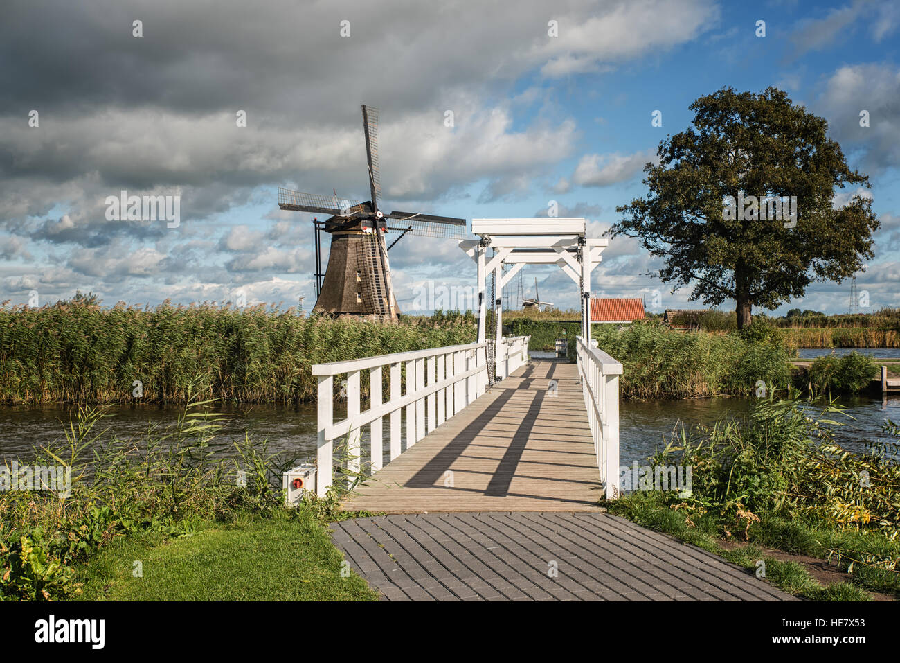 Ponte di legno attraverso un canale e il mulino a vento tradizionale, Kinderdijk, Olanda Foto Stock