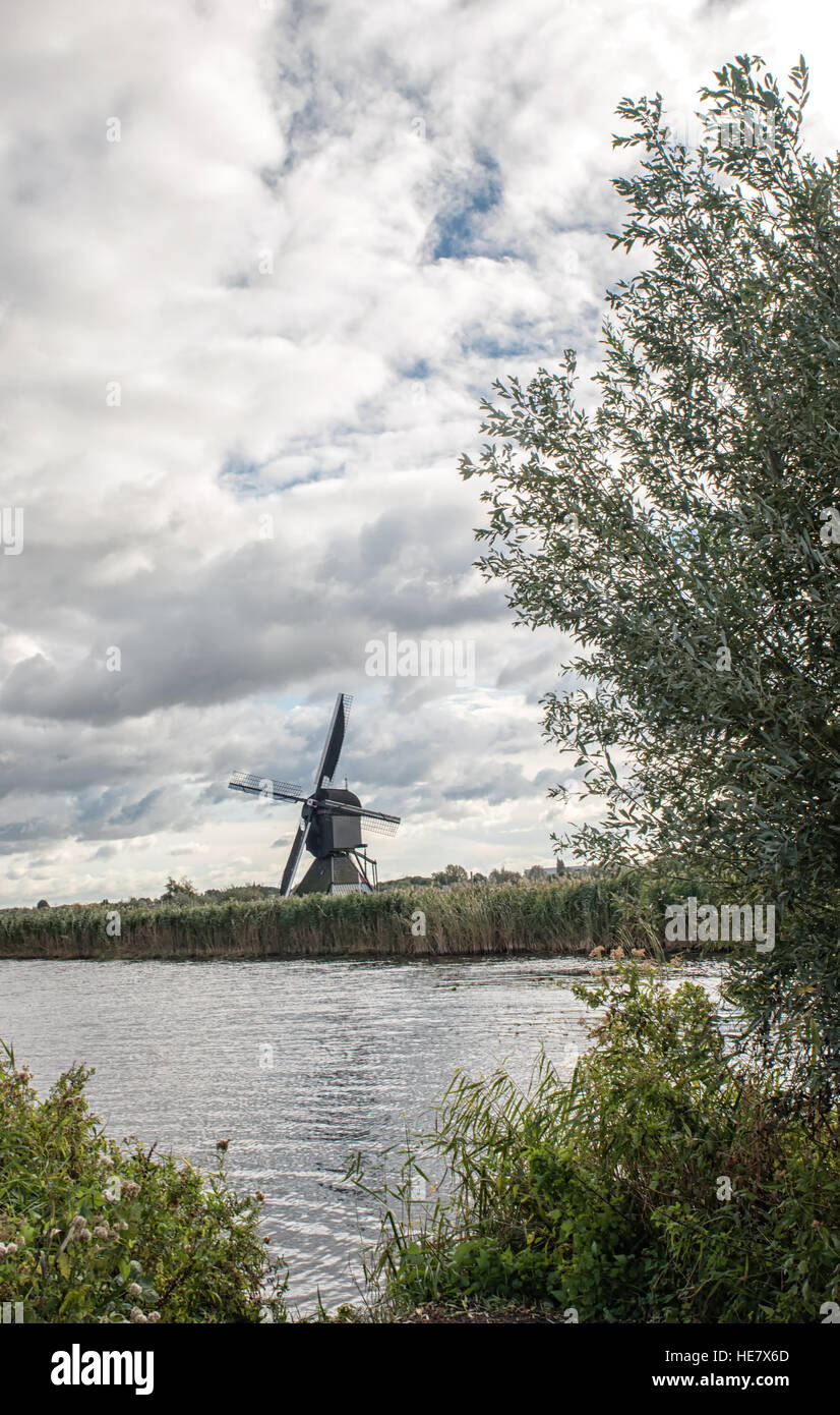 La natura in scena la famosa Kinderdijk canal con mulini a vento. Il vecchio villaggio olandese di Kinderdijk, sito patrimonio mondiale dell'UNESCO. Paesi Bassi, l'Europa. Foto Stock