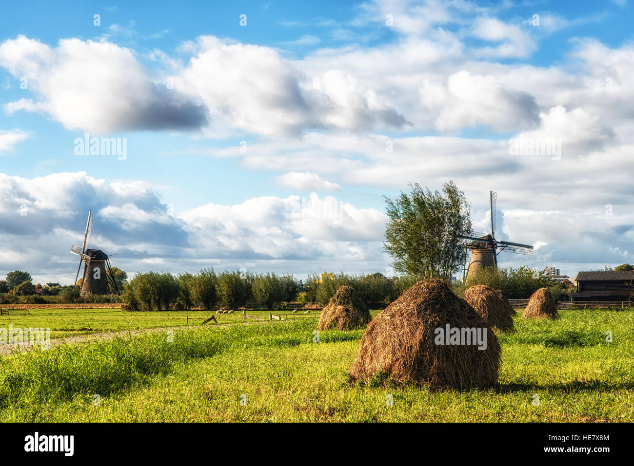 Campo estivo con haystacks e mulini a vento di Kinderdijk, Paesi Bassi Foto Stock