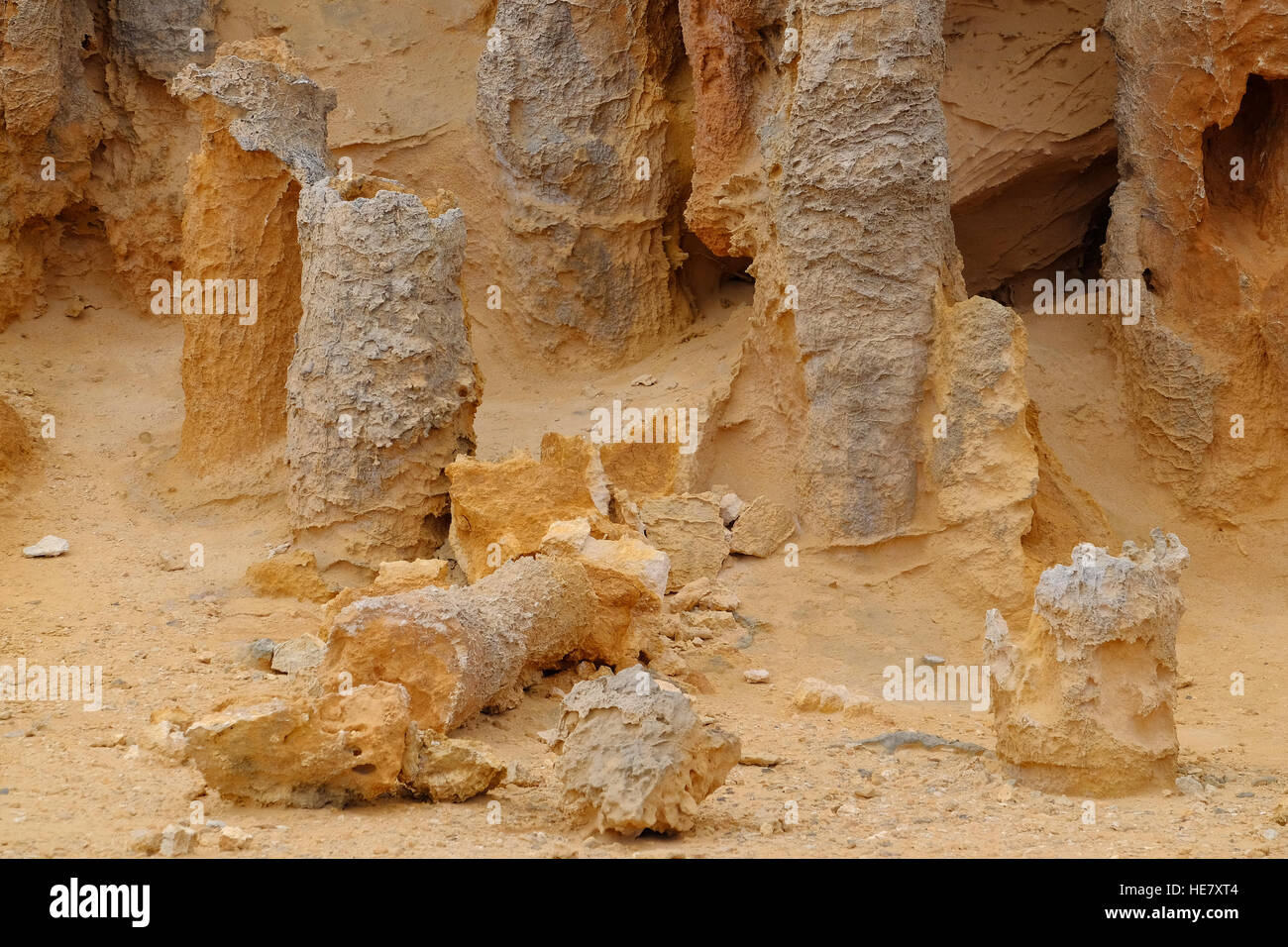 Alberi pietrificato sulla Great Ocean Road sulla costa australiana, Foto Stock