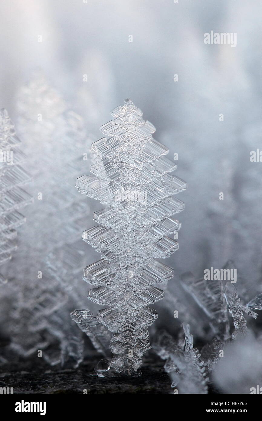 Cristallo di neve Foto Stock