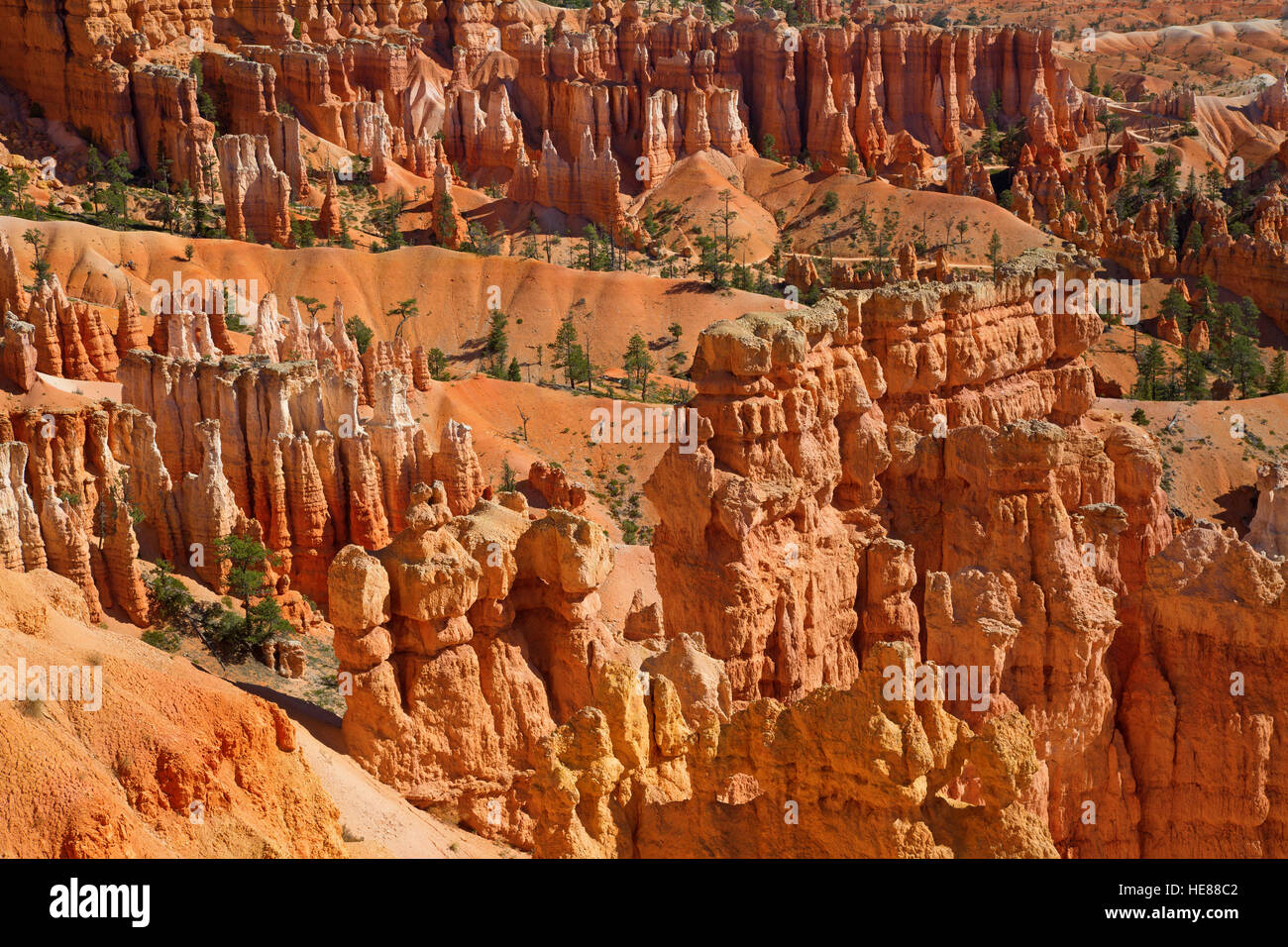 Parco nazionale di Bryce Canyon dello Utah, Stati Uniti d'America Foto Stock