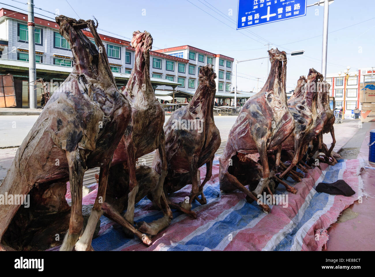Shigatse (Xigaze): essiccate Carni di animali della specie ovina Carni di attende pazientemente sul ciglio della strada per gli acquirenti, Tibet, Cina Foto Stock