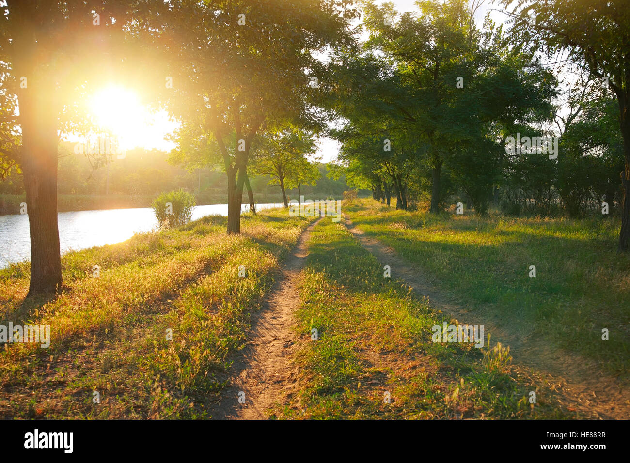 Paesaggio estivo, alberi sulla banca del fiume illuminato dal sole al tramonto Foto Stock