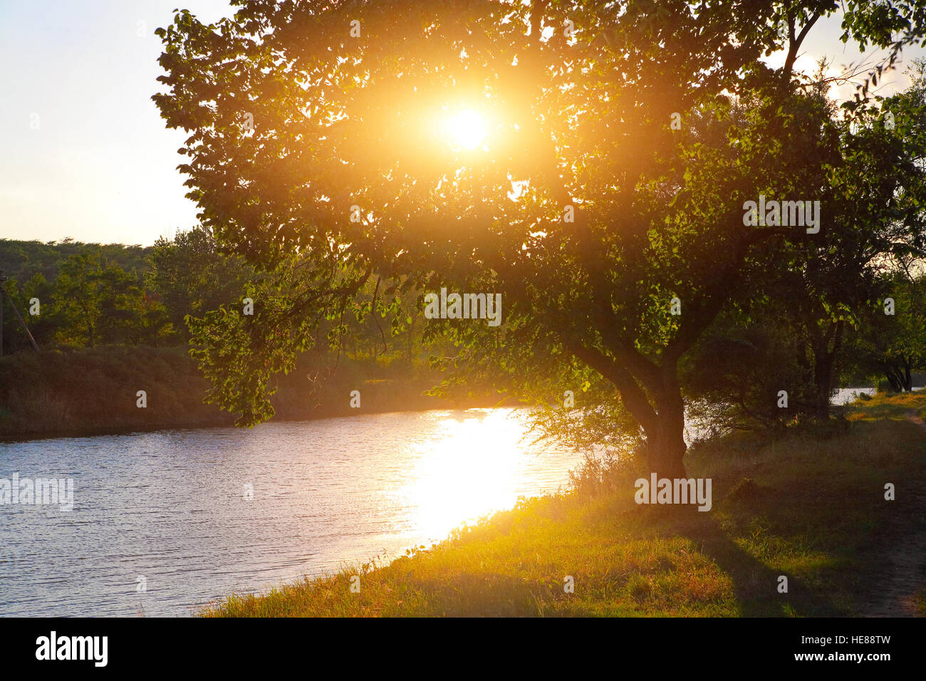 Paesaggio estivo, alberi sulla banca del fiume illuminato dal sole al tramonto Foto Stock