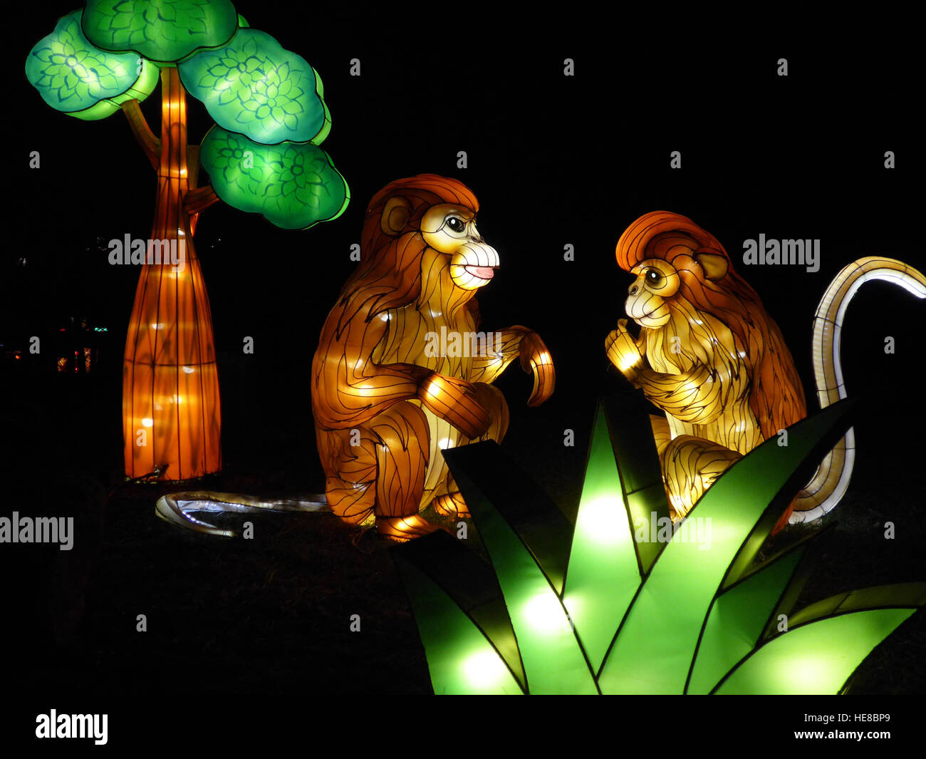 Lanterna cinese Foto Stock