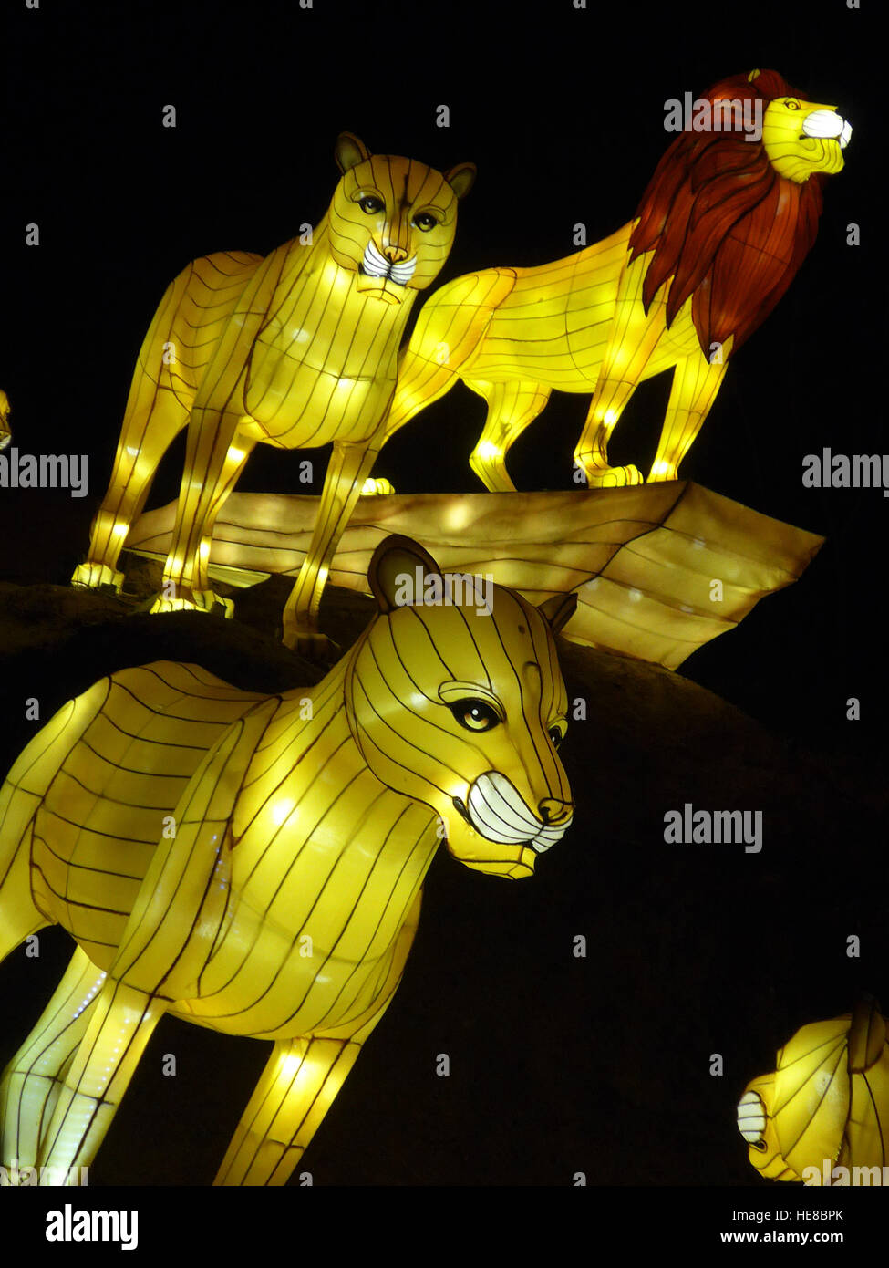 Lanterna cinese Foto Stock