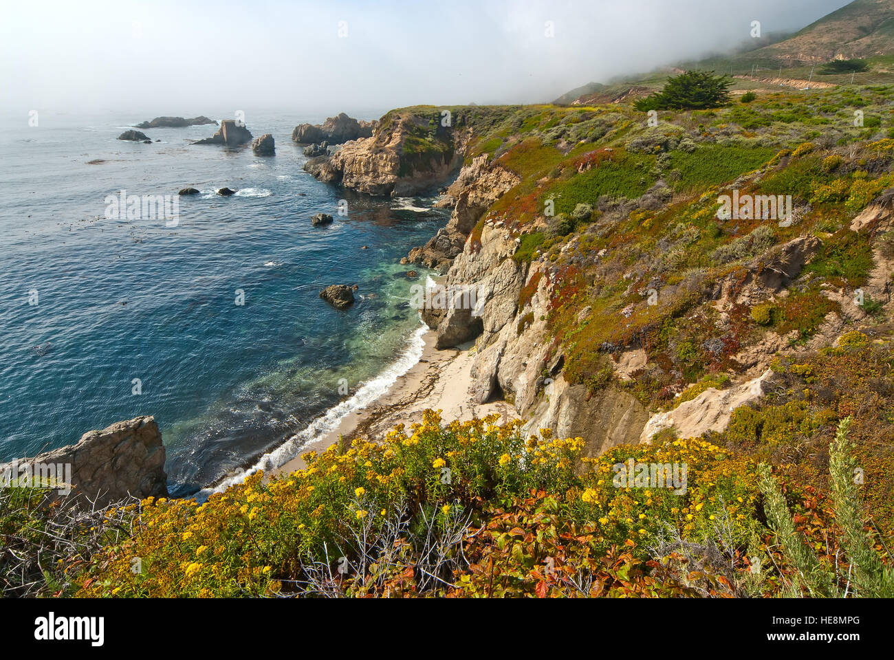 California robusto seashore, STATI UNITI D'AMERICA Foto Stock