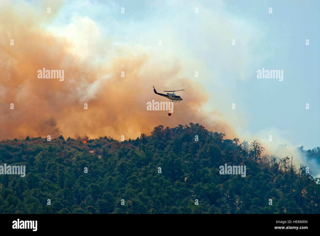 Incendio di foresta in California, Stati Uniti d'America Foto Stock