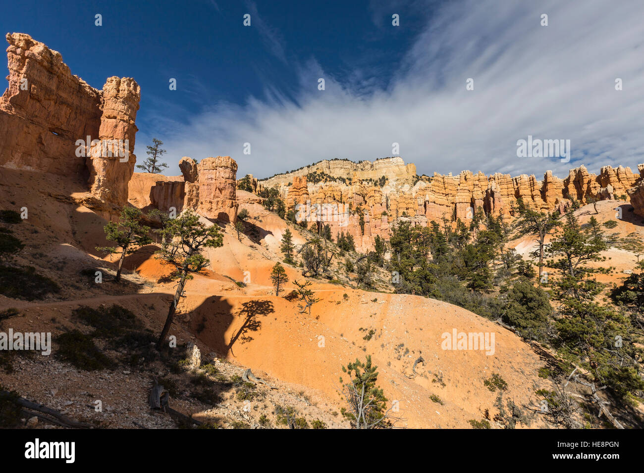 Hoodoo sentiero forestale all'interno del Parco Nazionale di Bryce Canyon nel sud dello Utah. Foto Stock