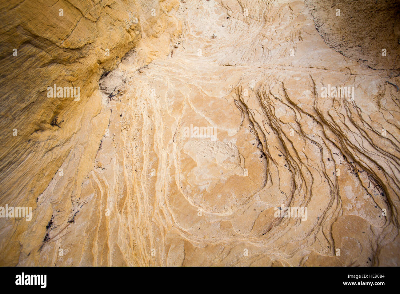 Geologia formazione di roccia, Parco Nazionale Zion, Utah, Stati Uniti d'America Foto Stock