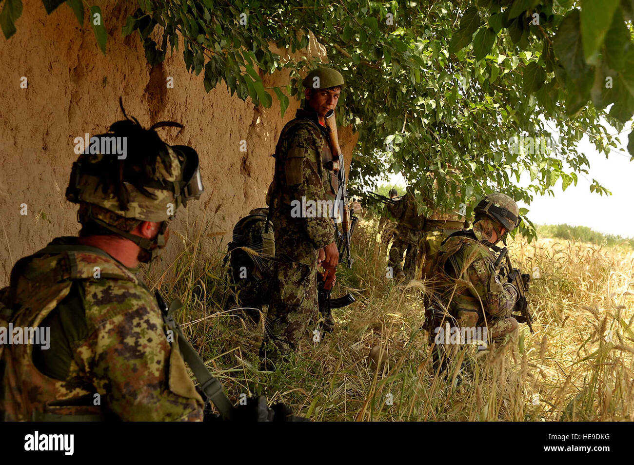 Esercito Nazionale Afghano soldati e soldati italiani il resto in ombra in un campo di grano al di fuori del villaggio di Shewan, provincia di Farah, Afghanistan maggio 12. Le forze della coalizione hanno stabilito di pattuglia in tutto il villaggio in cerca di qualcosa di sospetto a causa di recenti forze Anti-Afghan attività nell'area. Il personale il sergente Nicholas Pilch) Foto Stock