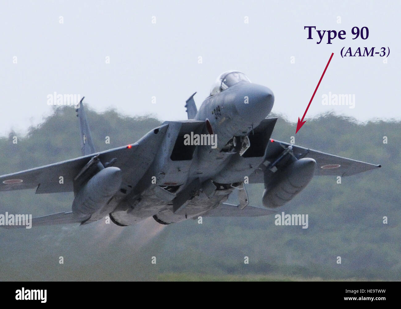 ANDERSEN AIR FORCE BASE, Guam- F-15 Eagle dalla Japan Air Self Defense Force decolla da qui durante il fronte Nord 2012, Feb. 15. Più di 1.000 militari da unità spanning del Pacifico sono programmate per iniziare arriveranno questa settimana per esercizio di far fronte Nord 2012. L'esercizio trilaterale, iniziata 11 Febbraio e verranno eseguiti attraverso Feb. 24, è una multinazionale di esercizio progettata per migliorare le operazioni di aria tra la U.S. Air Force, la JASDF e la Royal Australian Air Force. (U.S Air Force foto/Senior Airman Carlin Leslie) Foto Stock
