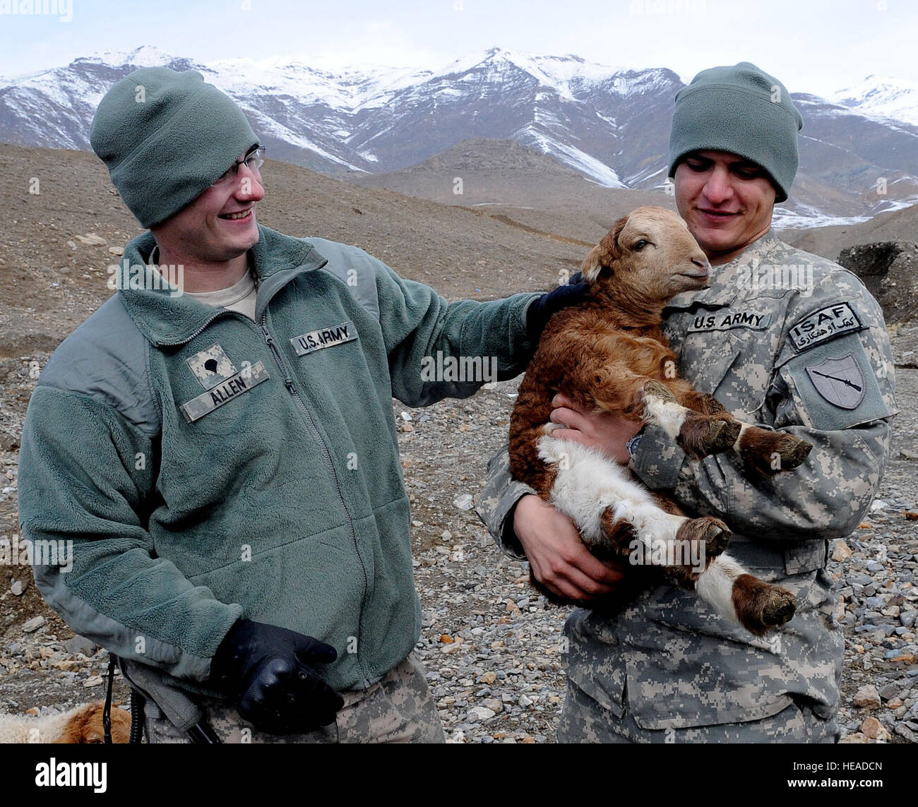 Kentucky agro-alimentare del team di sviluppo II membri, U.S. Army Spc. Justin Allen (sinistra), a Londra, Ky., nativo, E DEGLI STATI UNITI Army Sgt. Nicholas pettini, a Corbin, Ky., nativo, conoscere un agnello in una fattoria nel distretto di Anaba, Feb. 9. Il ADT II esaminerà più di 120 pecore gravide in Panjshir provincia, prendendo campioni fecali, età stime ed famacha, o il livello di infezione e condizione corpo punteggi. I campioni fecali verrà inviato a un partner veterinario a Bagram Air Field per determinare il tipo e la quantità di uova di parassiti presenti nelle pecore gravide. Foto Stock