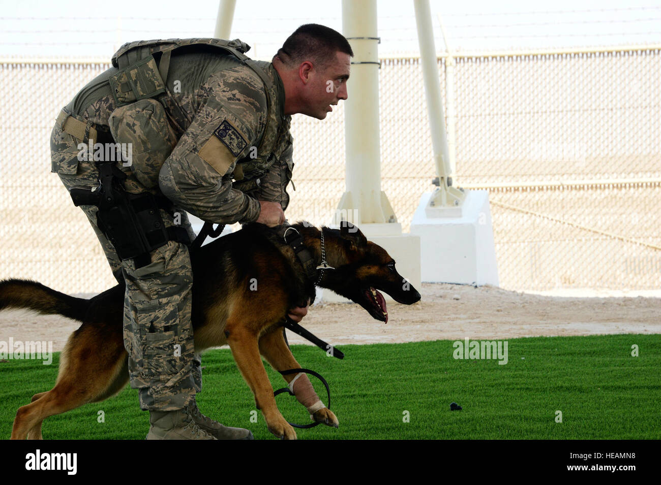 Il personale Sgt. Jacob Brown, 379 Expeditionary forze di sicurezza militari squadrone cane da lavoro gestore, trattiene il suo cane, grim, durante il corso di formazione sett. 15, 2016 at Al Udeid Air Base, in Qatar. La MWD della missione principale a AUAB è quello di mantenere un ambiente operativo protetto da prevenire l'introduzione di esplosivi sulla base attraverso il rilevamento esplosivi. Senior Airman Janelle Patiño Foto Stock