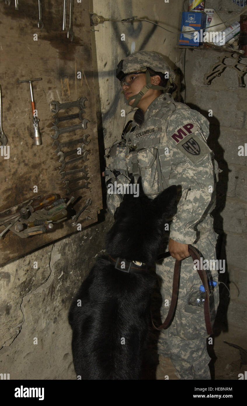 U. S. Army Staff Sgt. Kristina Colombo e il suo cane Anna fare una scansione di un garage durante il funzionamento Ant Hill nella città di Mosul, Iraq il 5 giugno, 2007. Il garage è stato identificato mediante le forze di coalizione come un possibile veicolo a carico Exlposive improvvisata di fabbrica del dispositivo. Columbus è un membro della XXV divisione di fanteria, K-9, unità di Mosul, Iraq. Foto Stock