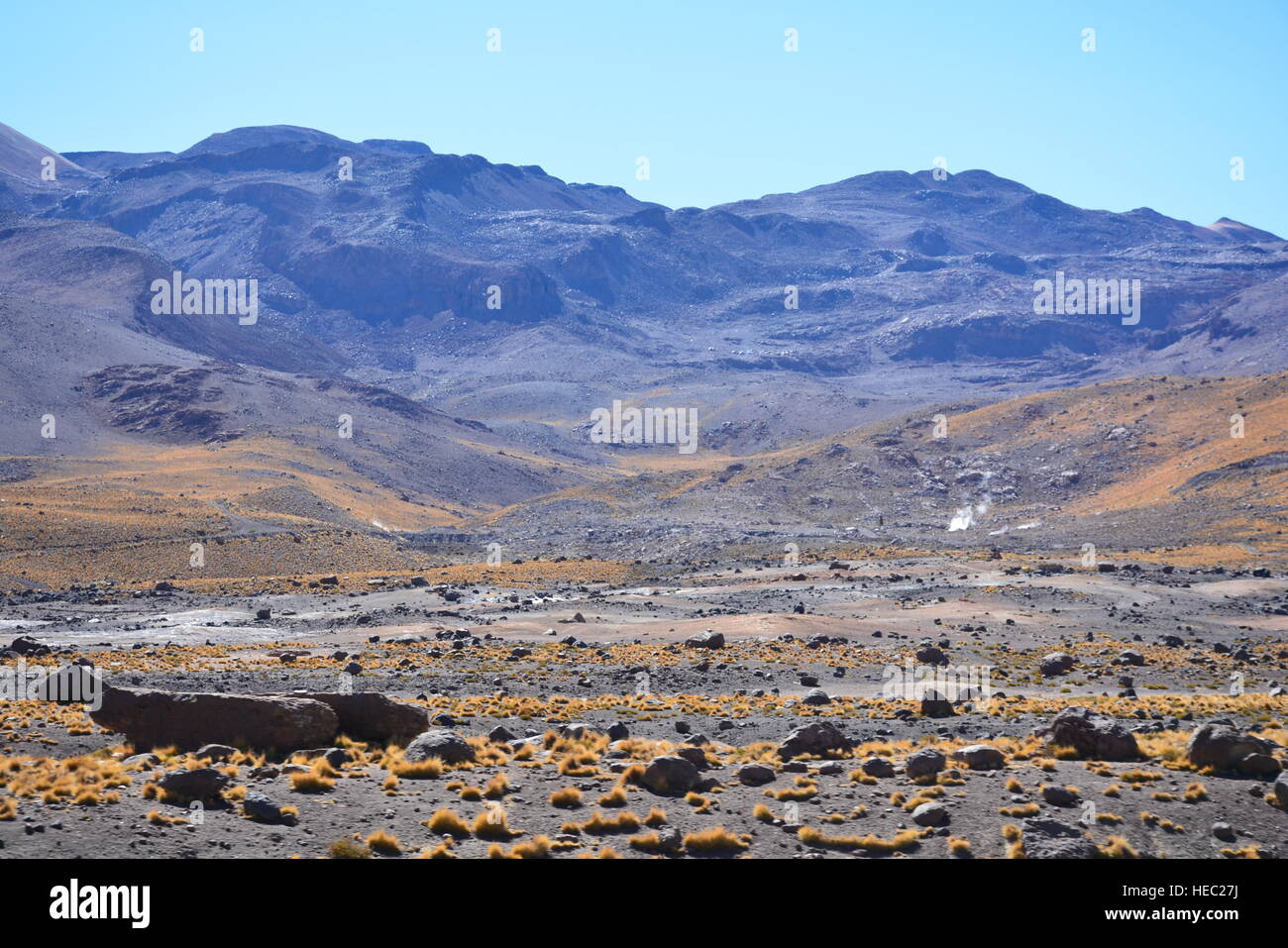 Paesaggio di montagne e lago nel deserto di Atacama Cile Foto Stock