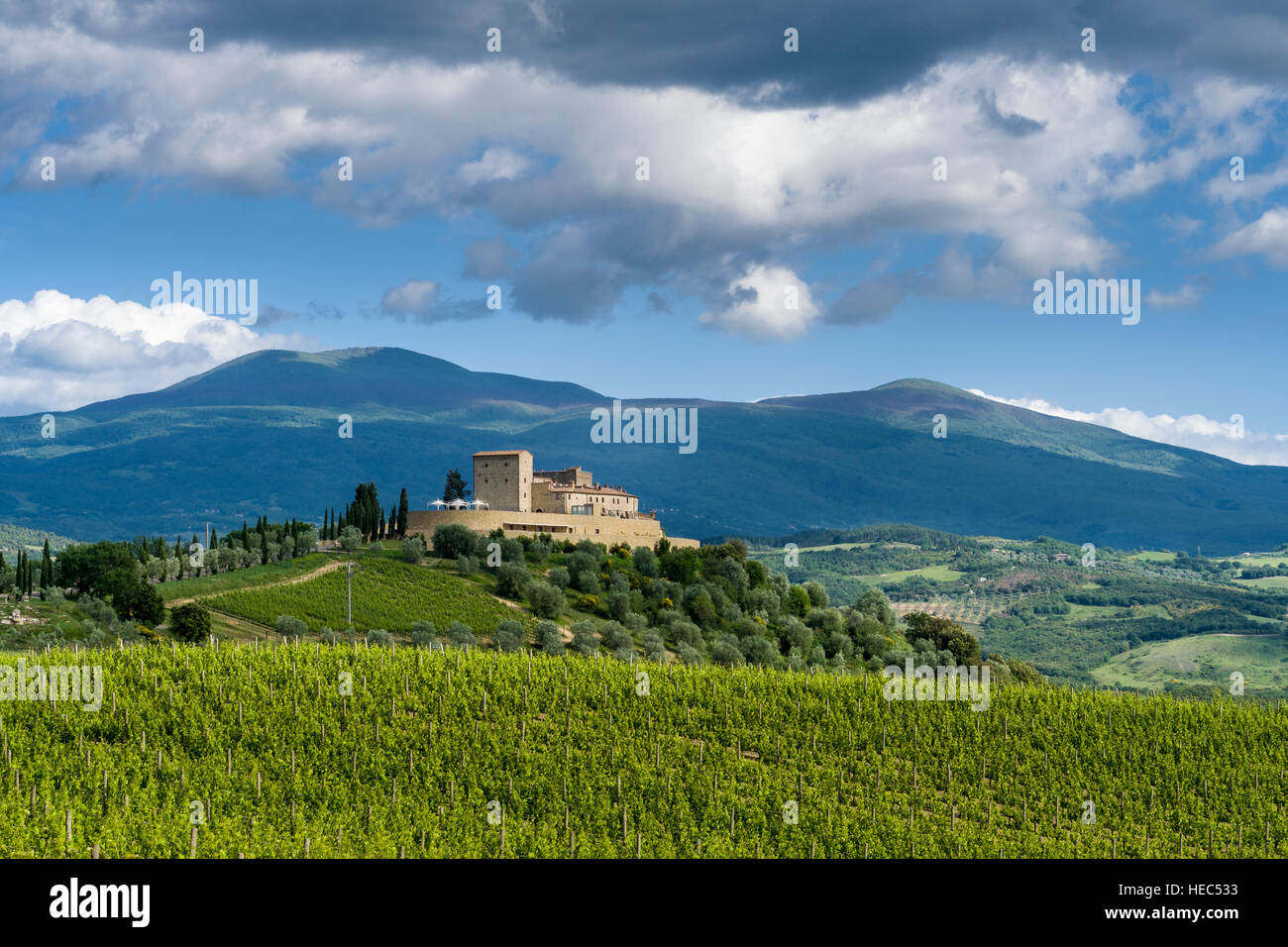 Verde tipico paesaggio toscano in val d'Orcia con vigneti, il Castello di Velona su di una collina e il blu cielo molto nuvoloso Foto Stock