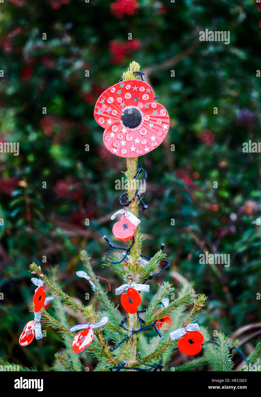 Albero di Natale decorazioni di papavero marcatura ricordo dei caduti dei veterani di guerra. Foto Stock