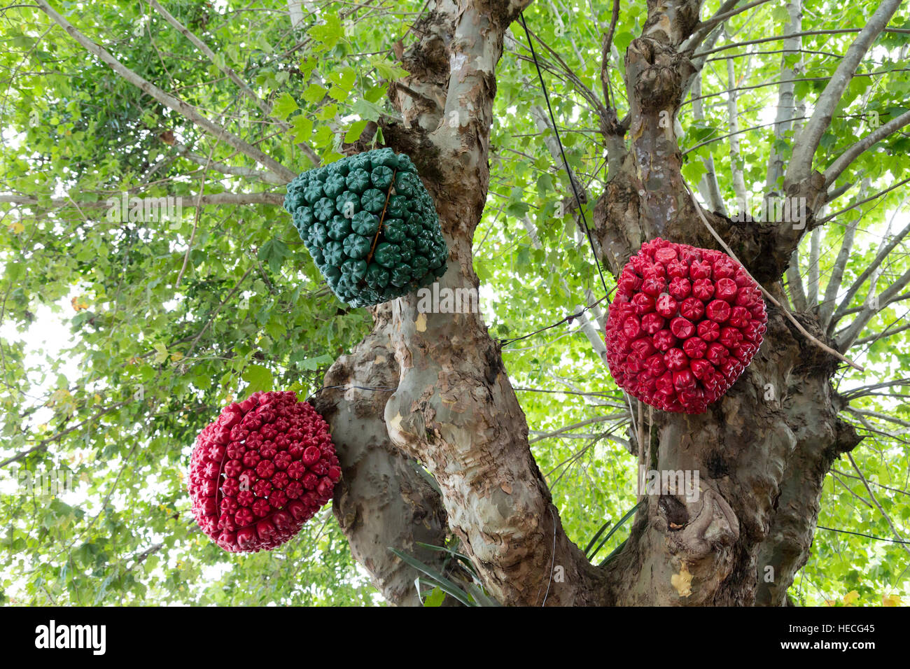 Le decorazioni di Natale fatto di bottiglie di plastica appendere sui rami di alberi, Capivari, Campos do Jordao, Sao Paulo, Brasile Foto Stock