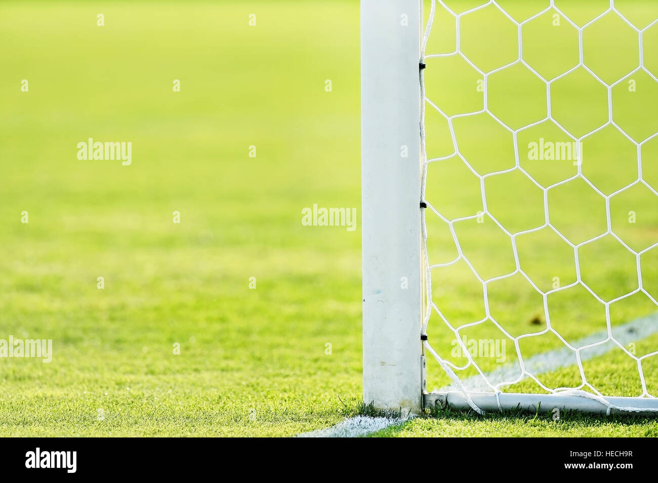 Obiettivo calcio post e net dettaglio sul tappeto erboso verde Foto Stock