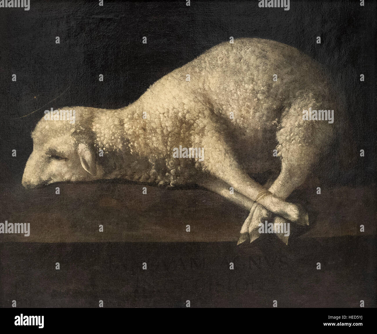 Francisco de Zurbarán (1598-1664), Agnus Dei, 1639. Foto Stock
