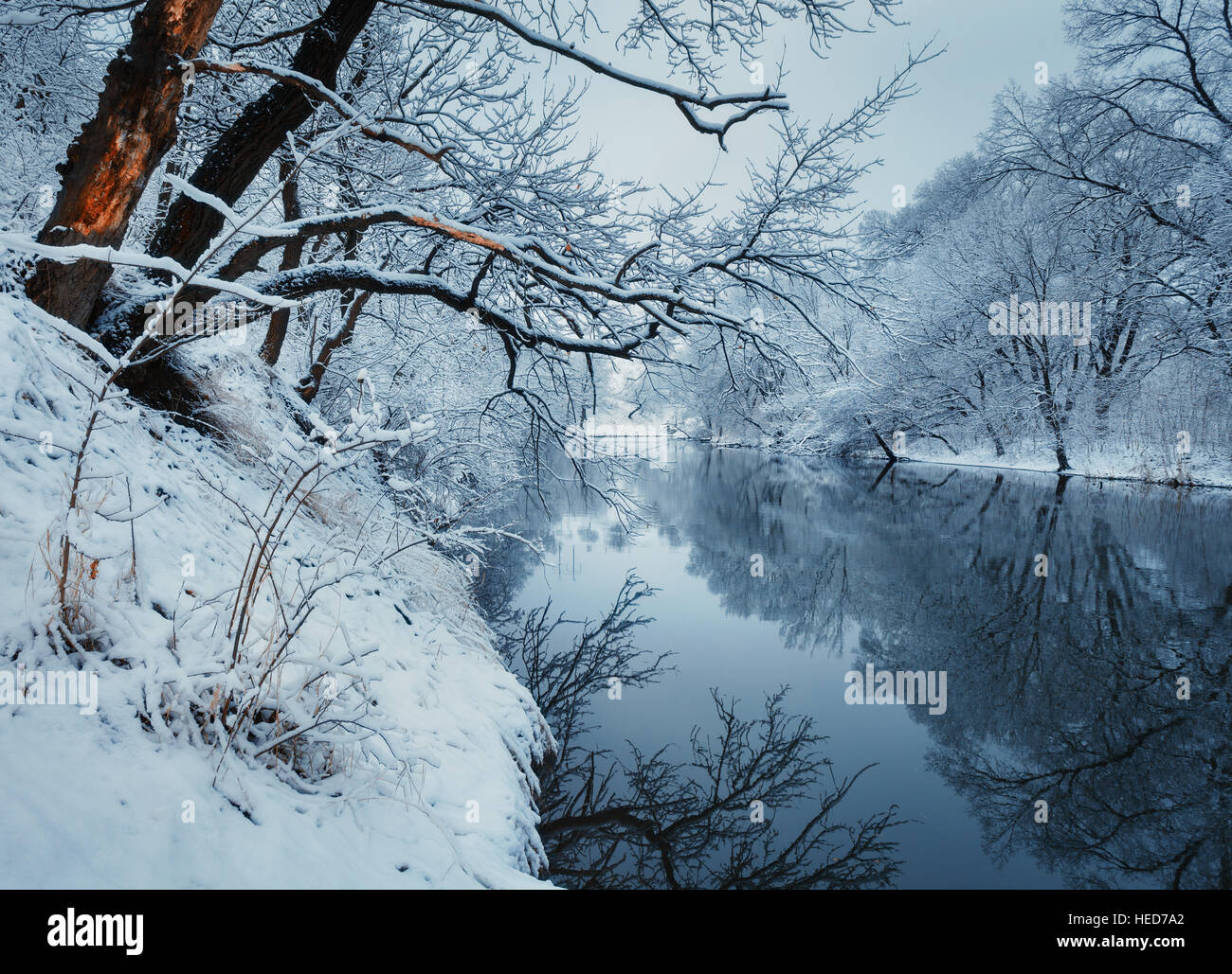 Bella inverno nella foresta sul fiume. Paesaggio invernale. Snowy rami di alberi, splendido fiume con la riflessione in acqua Foto Stock