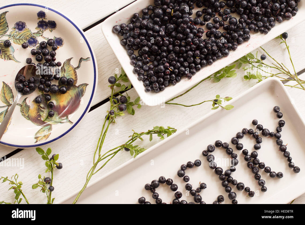 Bacche,berry,blu,mirtilli,mirtilli ramoscelli,mirtillo,mirtillo ramoscello,colazione,closeup,deliziosa,dolci,la dieta, il cibo fresco, frutta,verde,sano,lettera,lettere,natura,nutrizione,modellato,impianto,piastra,mature,salver,ancora vita,l'estate,super food,dolci,gustoso,ve Foto Stock
