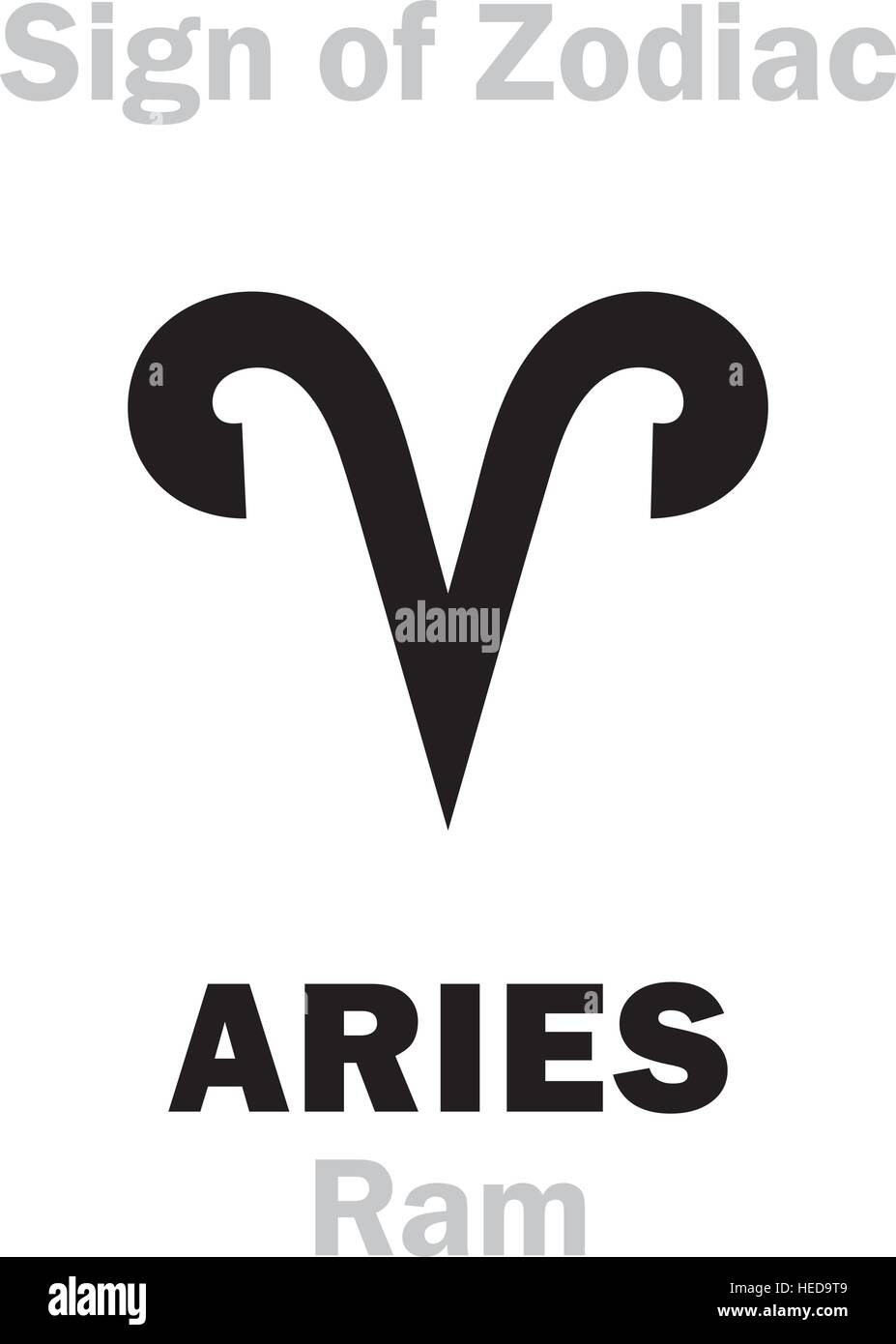 Astrologia: segno zodiacale di Aries (ram) Illustrazione Vettoriale