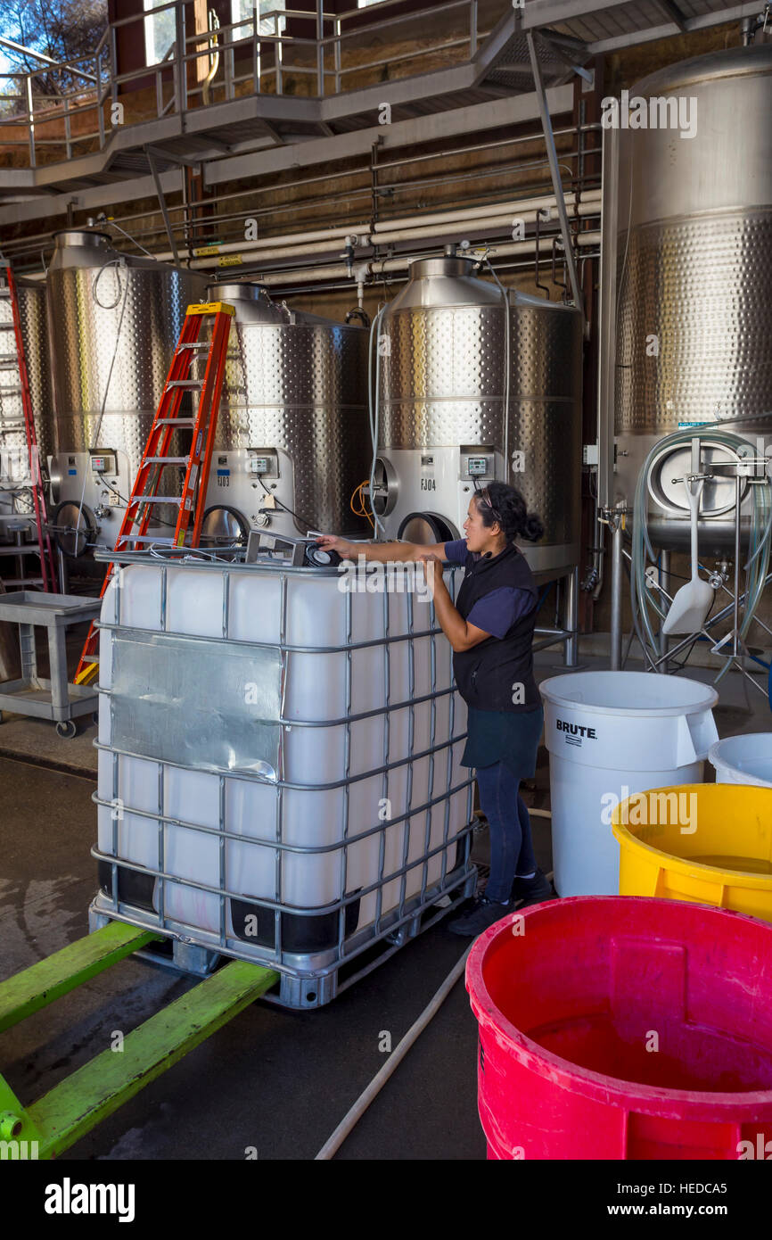 Cantina lavoratore, area di fermentazione, vini repris, Sonoma, Sonoma County, California, Stati Uniti, America del nord Foto Stock