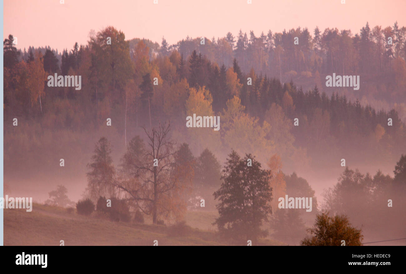 Autunno paesaggi con nebbia di mattina Foto Stock