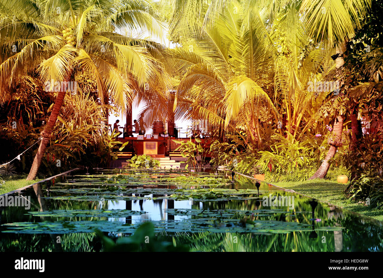 Photo retrò paradiso tropicale giardino con laghetto Foto Stock