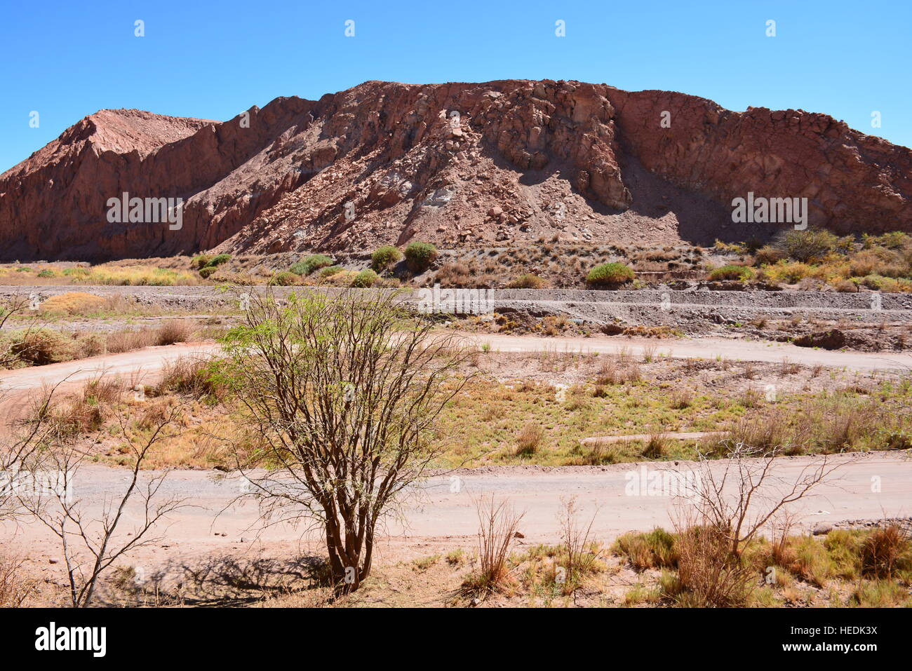 Paesaggio di montagne e Valle nel deserto di Atacama Cile Foto Stock