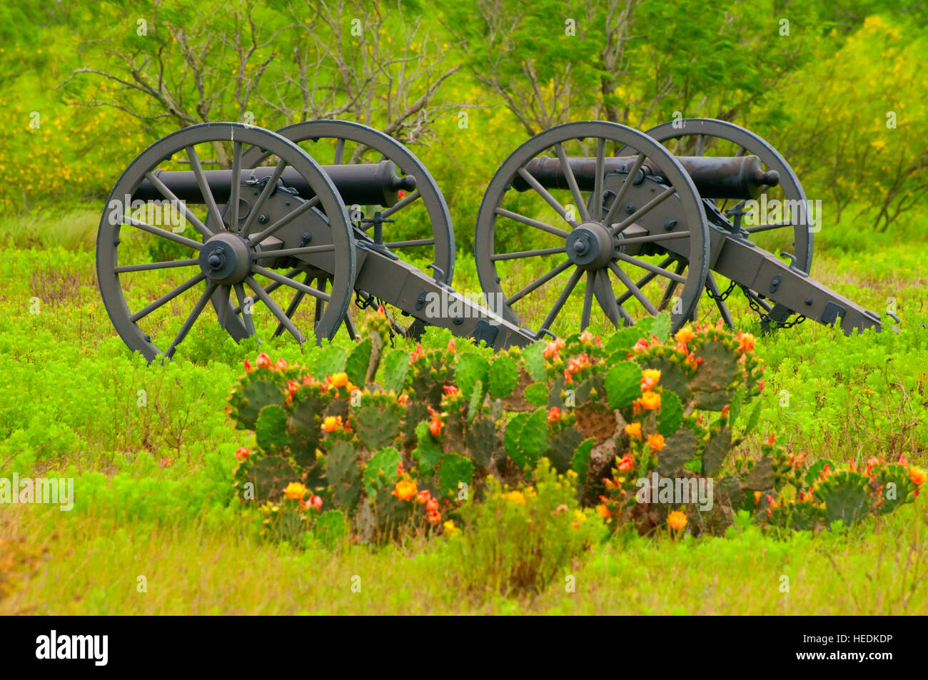 Cannone americano lungo il sentiero del campo di battaglia, Palo Alto Battlefield National Historic Park, Texas Foto Stock