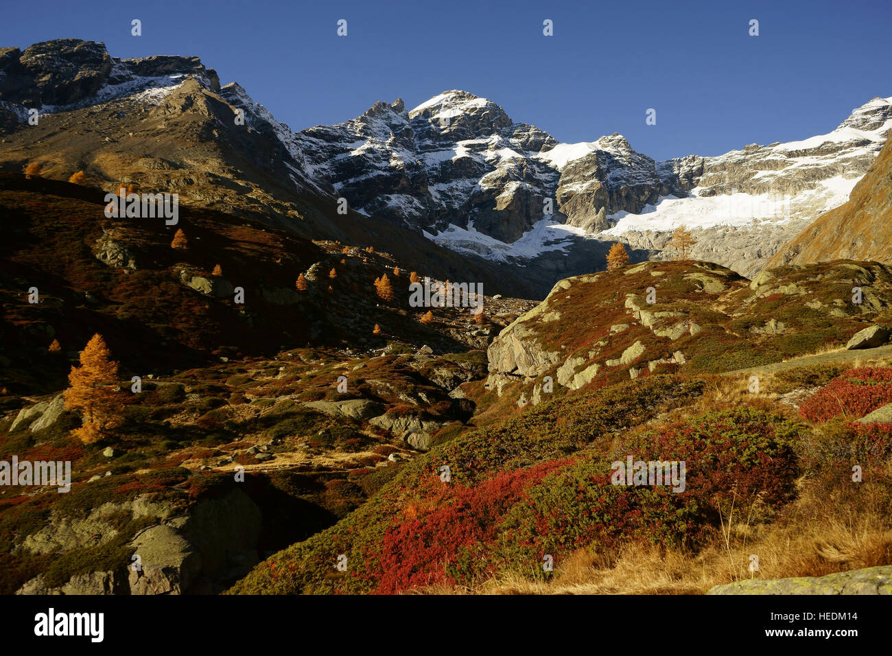 Lötschental in autunno, larici, tundra alpina i colori dell'autunno, Vallese, alpi svizzere, Svizzera Foto Stock