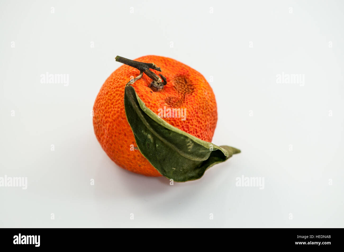 Mandarin surmature su uno sfondo bianco Foto Stock