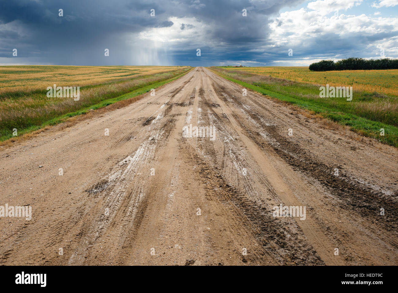 Una strada fangosa e cielo tempestoso nelle zone rurali di Saskatchewan, Canada Foto Stock
