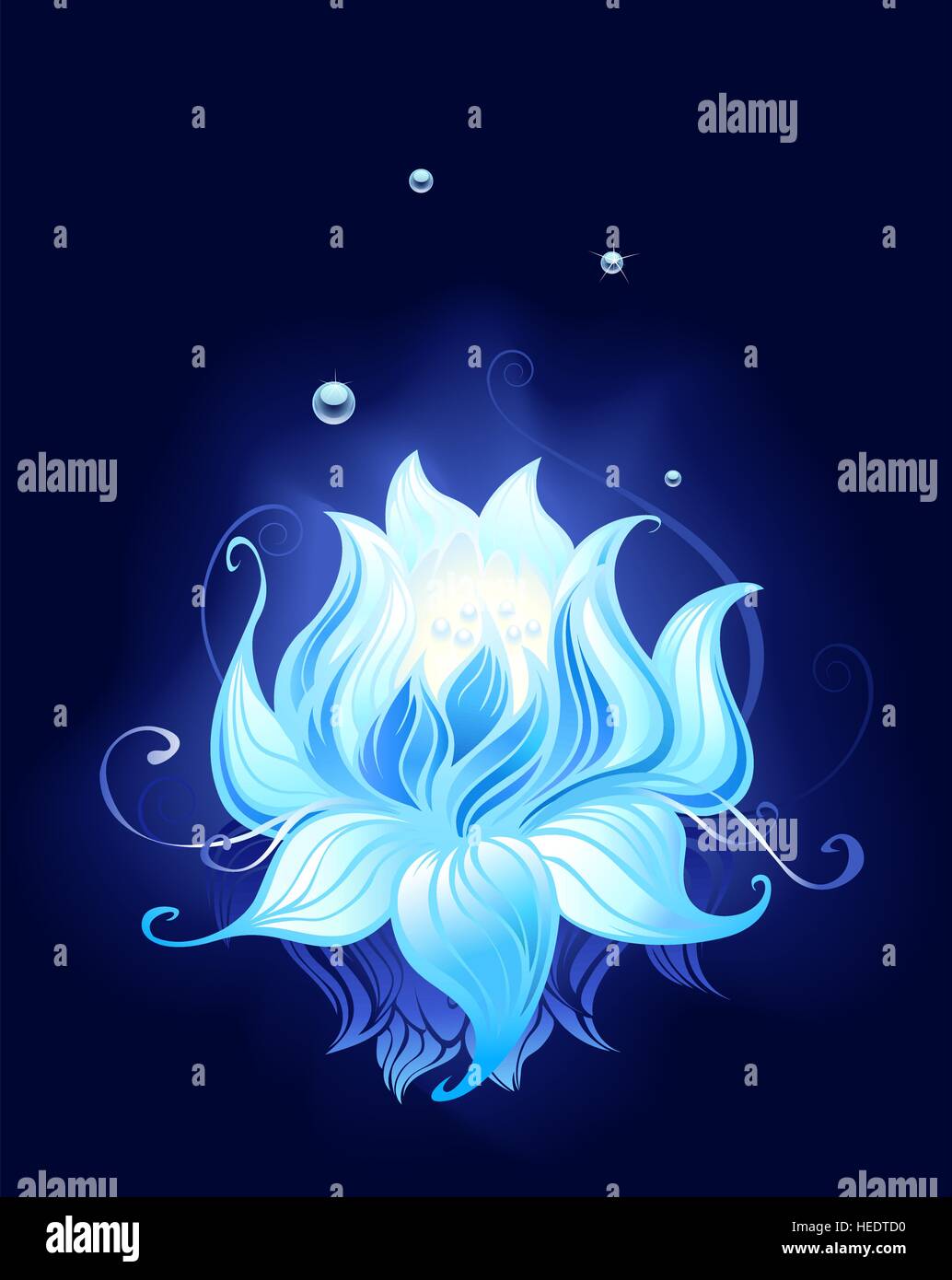 Blue Lotus con gocce di rugiada riflessa nell'acqua scura. Illustrazione Vettoriale