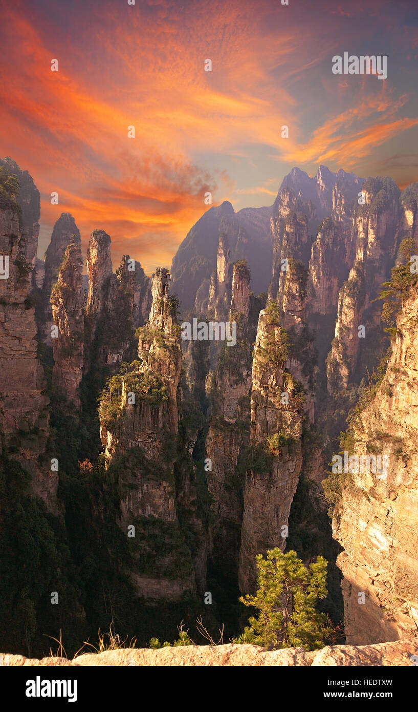 Una maestosa veduta delle montagne di Avatar di sunrise. Wulingyuan, Zhangjiajie National Park, nella provincia del Hunan, Cina. Foto Stock