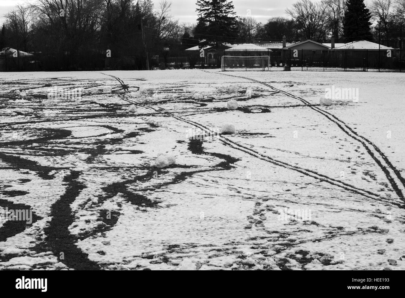 Stampe su una neve Foto Stock