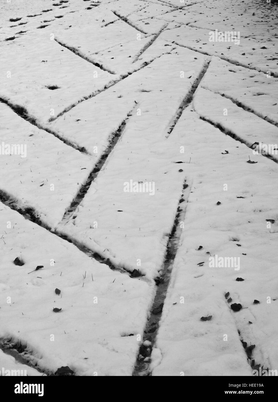 Stampe su una neve Foto Stock