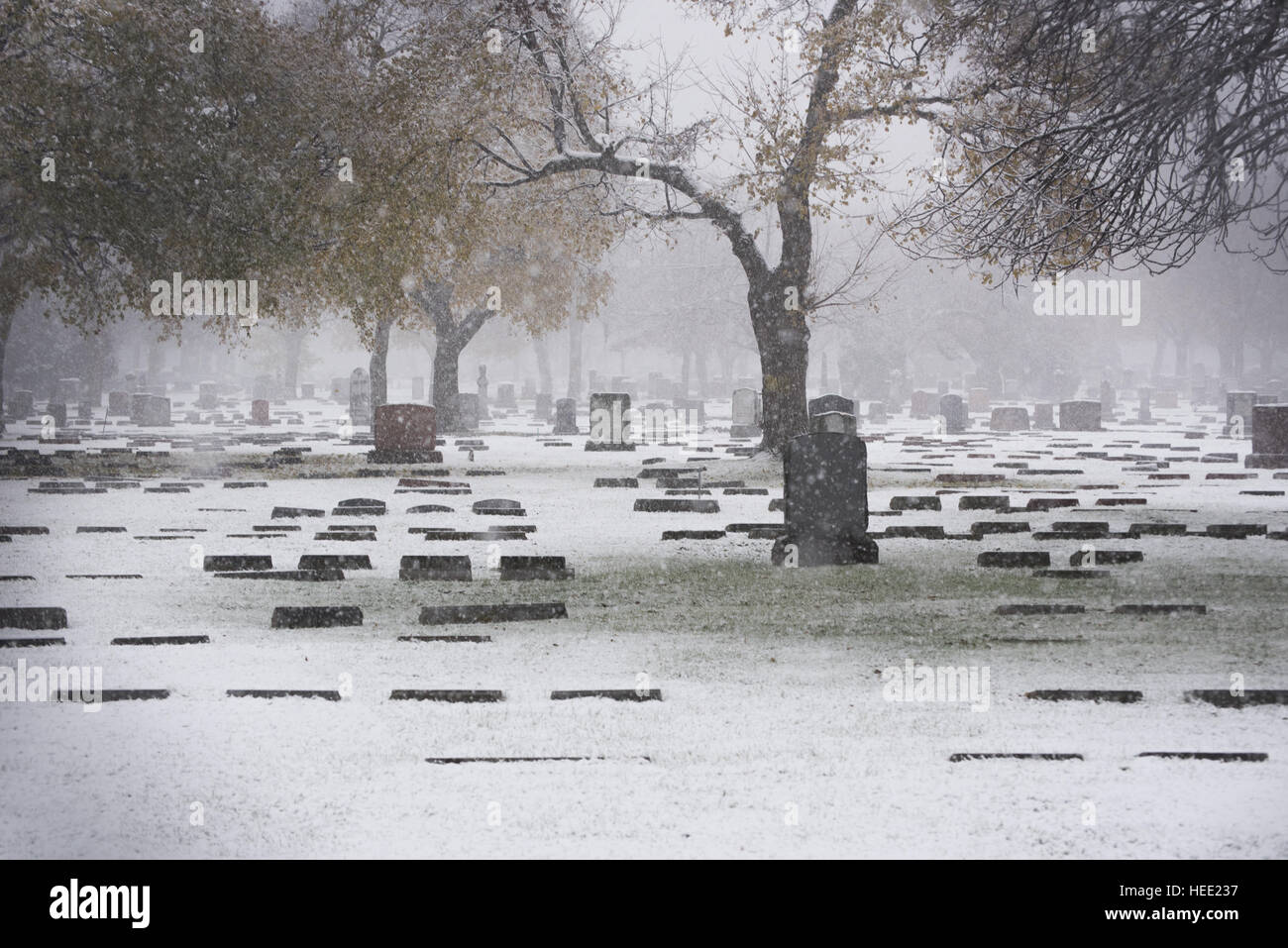 Il cimitero di neve Foto Stock