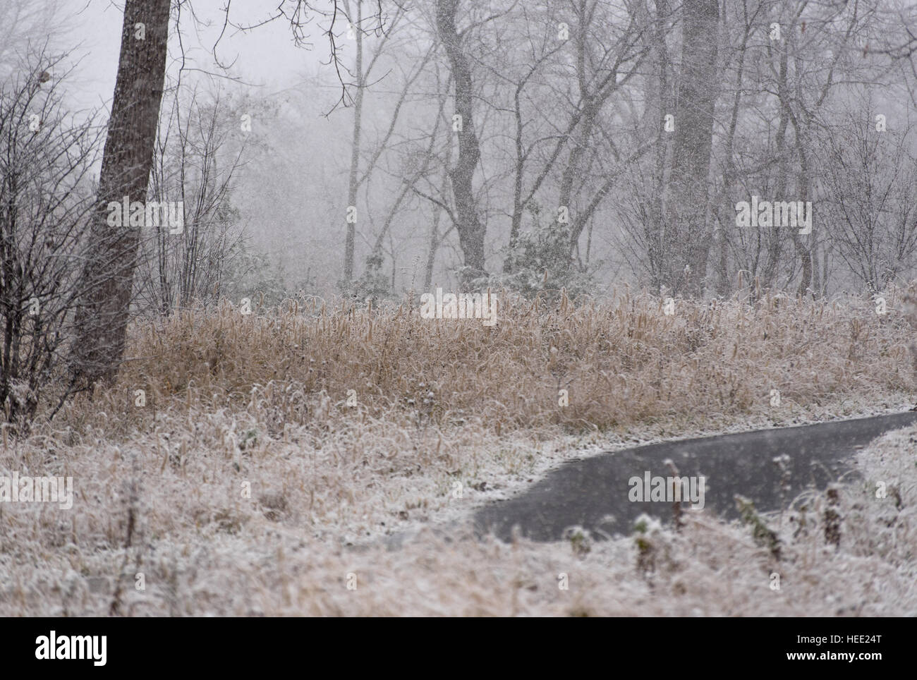 Parco sotto una prima neve Foto Stock