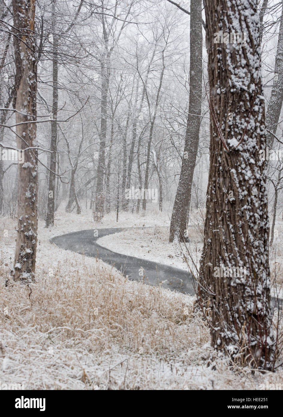 Parco sotto una prima neve Foto Stock