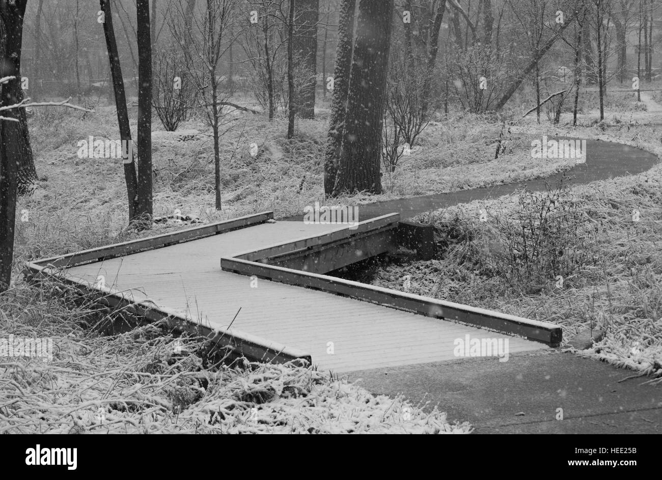 Parco sotto una prima neve Foto Stock