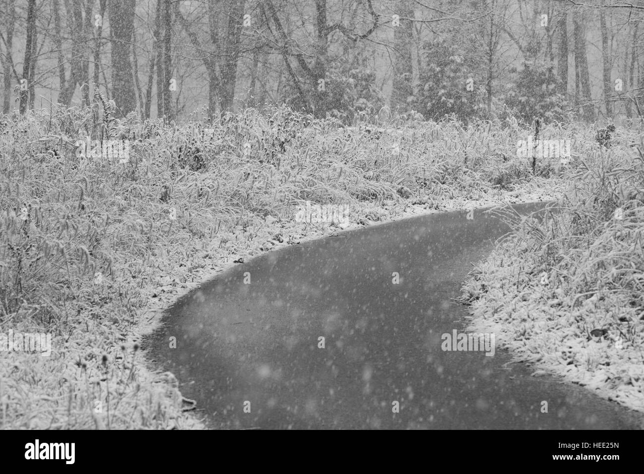 Parco sotto una prima neve Foto Stock