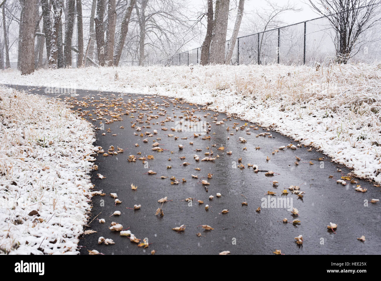Parco sotto una prima neve Foto Stock